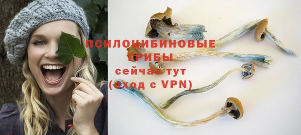 герыч Дмитров