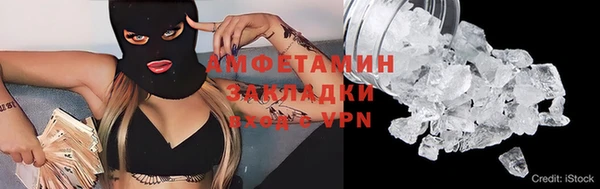 прущие грибы Елабуга