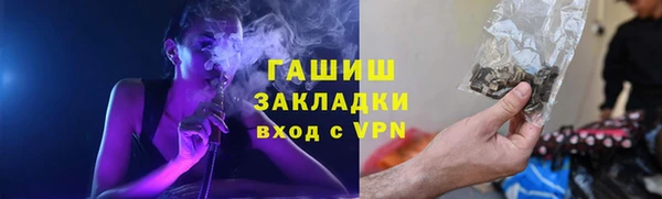 прущие грибы Елабуга