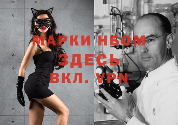 прущие грибы Елабуга