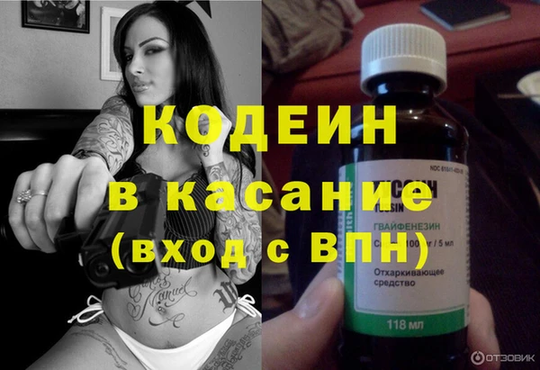прущие грибы Елабуга