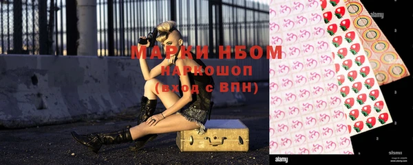 винт Ельня