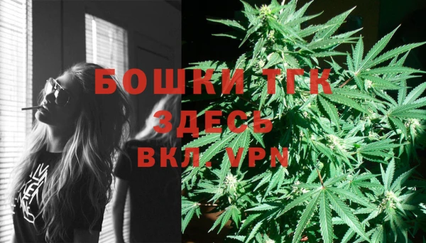 винт Ельня