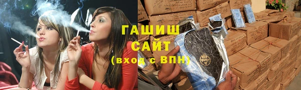 прущие грибы Елабуга