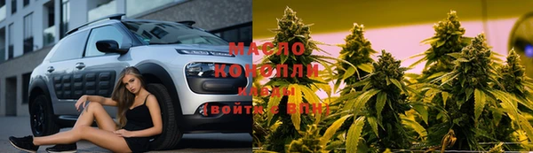 прущие грибы Елабуга